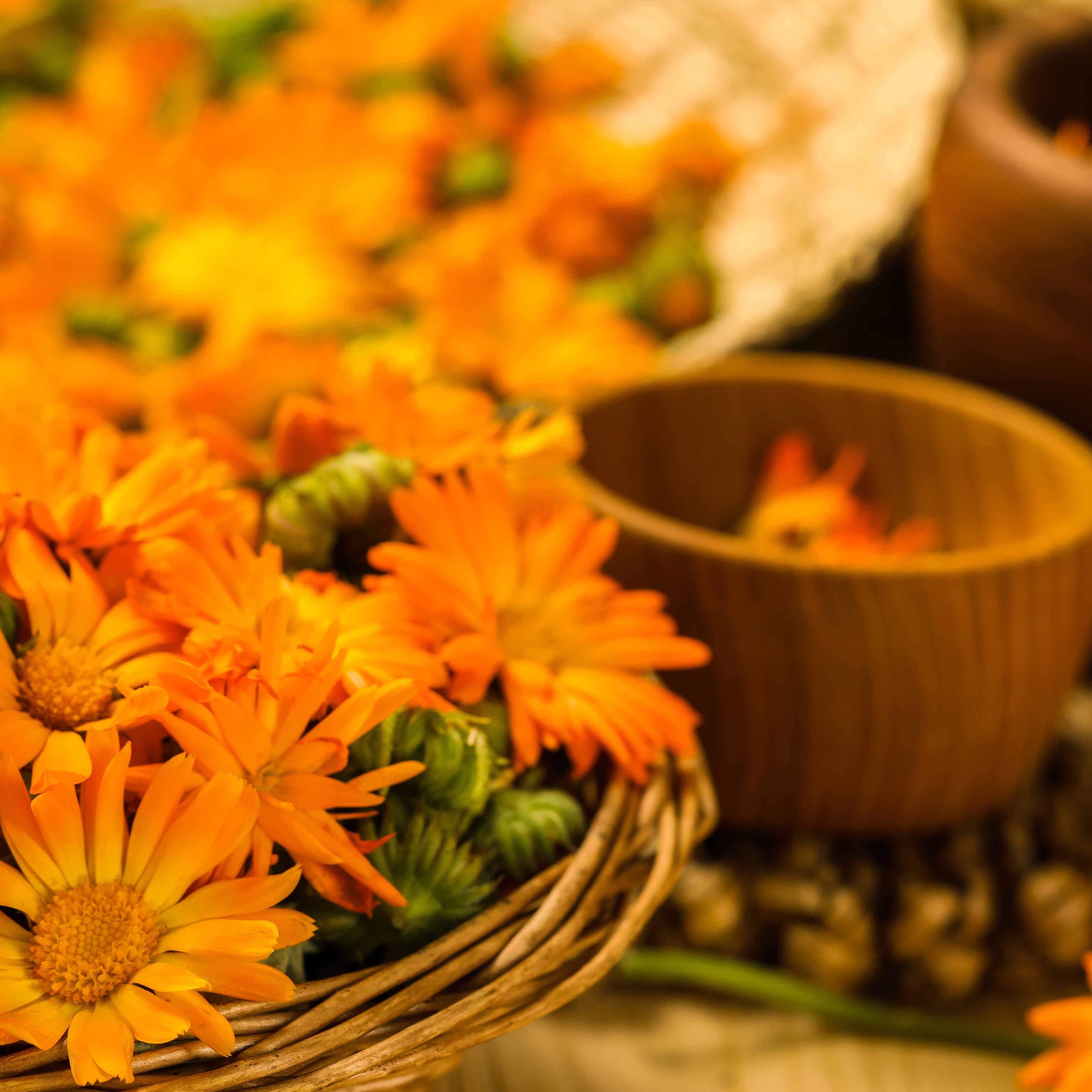 Calendula Collection - Organic Calendula Oil for Skin